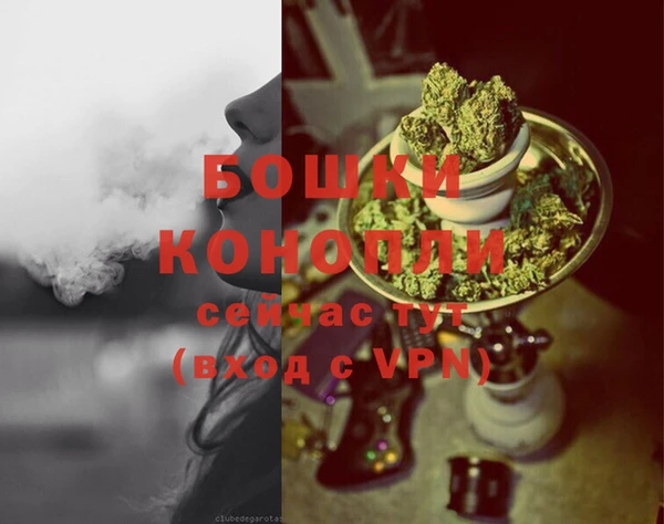 мдпв Козловка