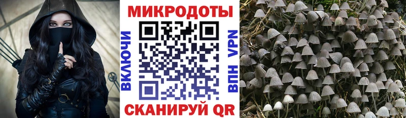 Псилоцибиновые грибы Cubensis  Купить закладки  Дигора 
